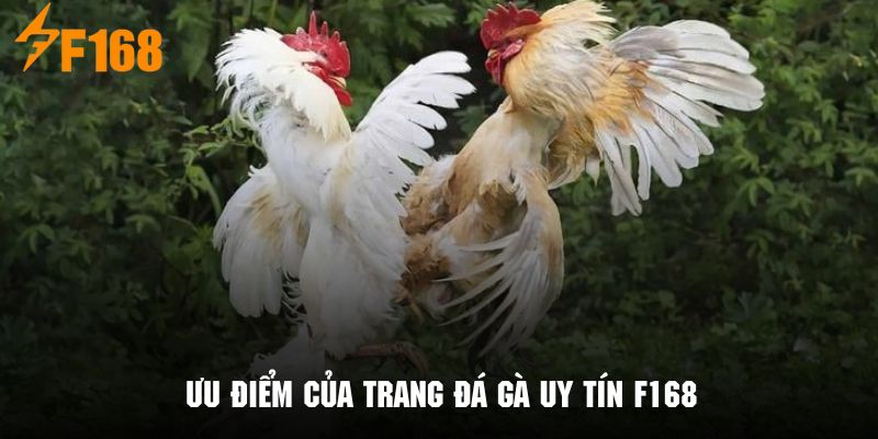 Những ưu điểm tạo nên sức cuốn hút của trang đá gà uy tín F168